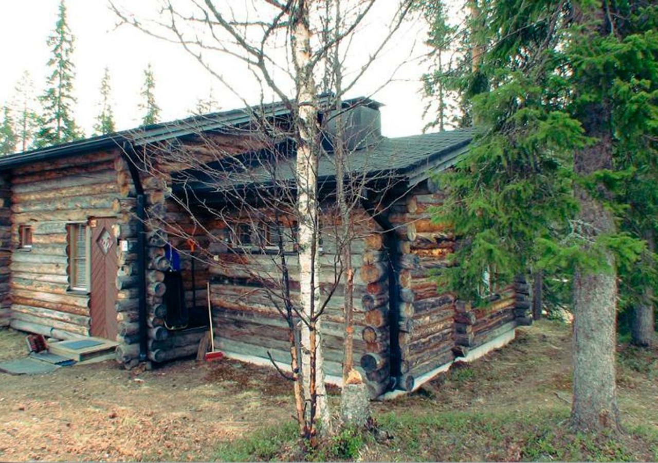 Salmikangas G4 Рука Экстерьер фото